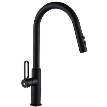 Grifería fregadero monomando prestige extensible BELT-G (negra)