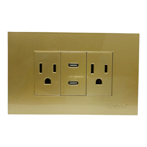 [A136-ETG-6C2TC] Tomacorriente doble + 2 tipo c TROEN (Dorado)