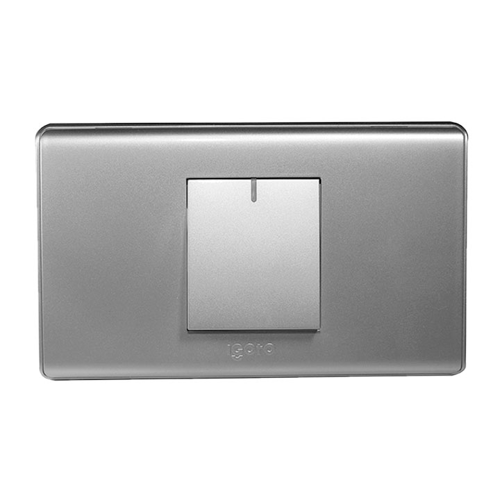 Interruptor sencillo IGOTO (serie a20 silver)