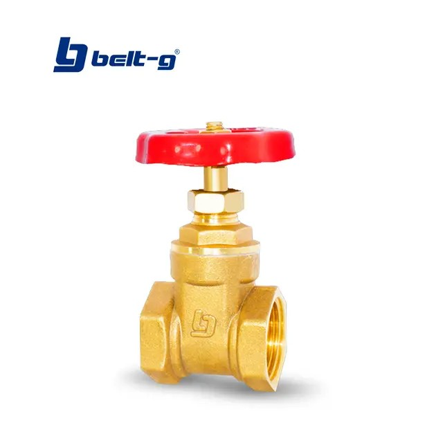 Valvula de compuerta 3/4" BELT-G