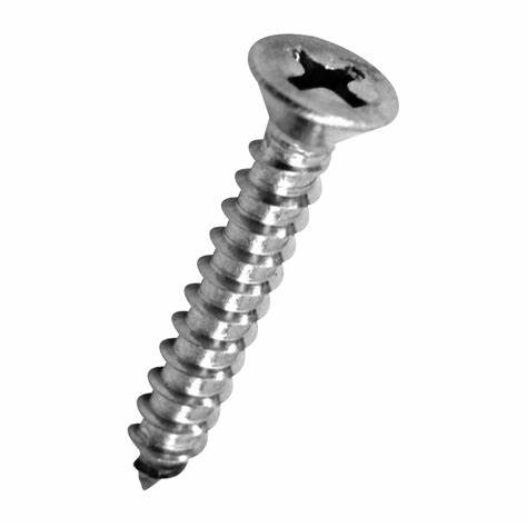 Tornillo autoroscante plana ASF (por unidad) inox 304