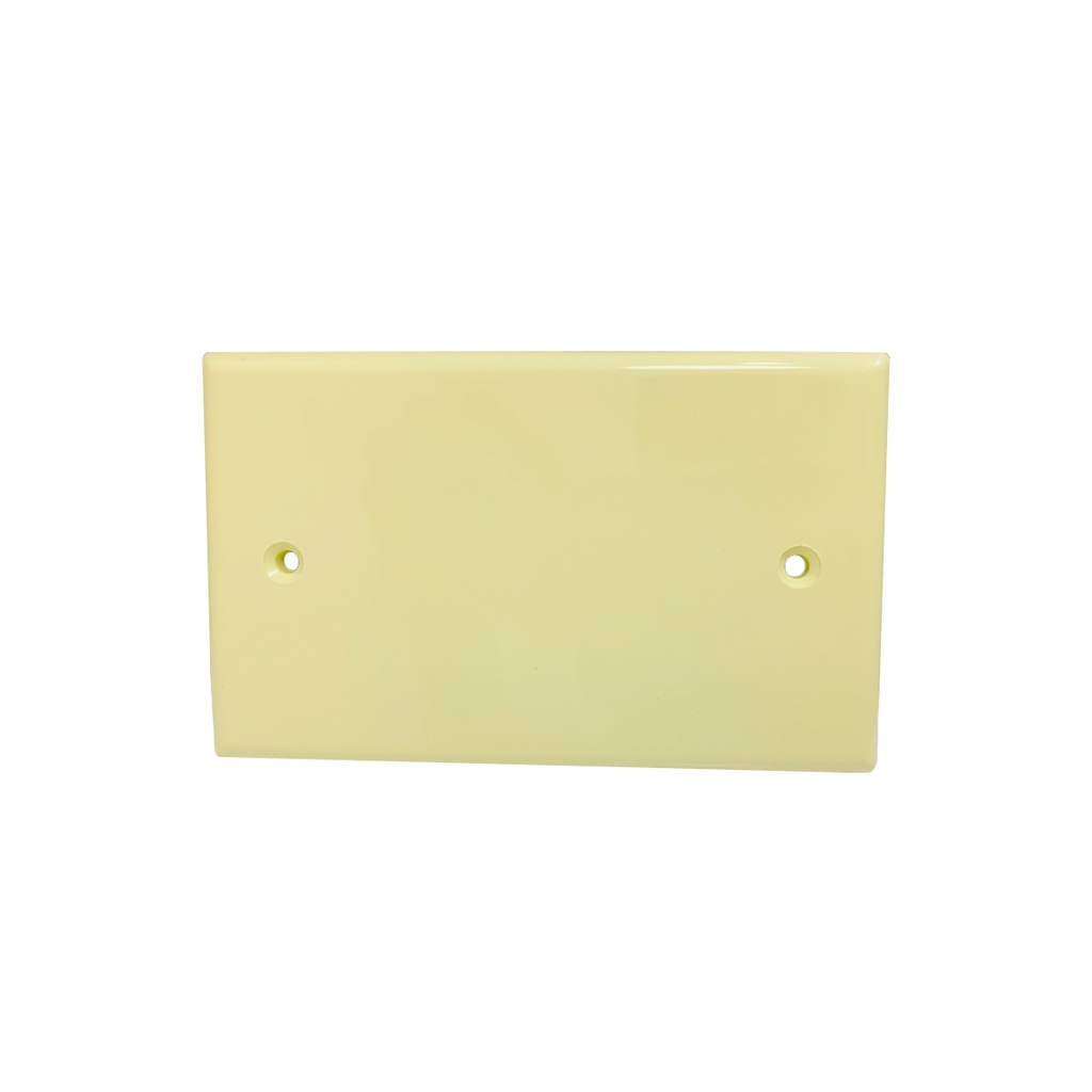 Tapa ciega 4'' x 2'' beige TROEN