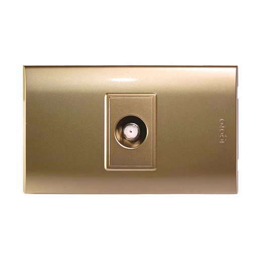 [B302-G] Toma para conector coaxial tv IGOTO (serie b gold)