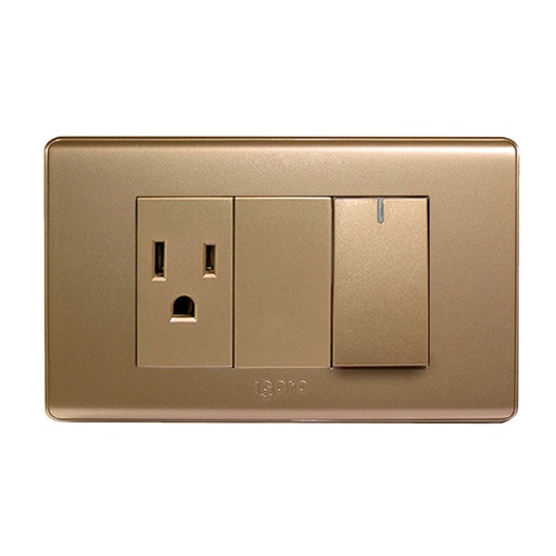[A2036-G] Interruptor + tomacorriente 2p + t IGOTO (serie a20 gold)