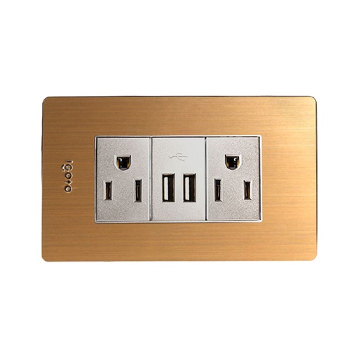 [X105/2-U] Tomacorriente 2p + t + 2 puerto usb IGOTO (serie x gold)